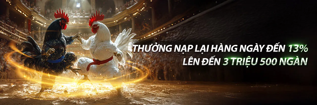 Tổng quan Blog 99VINA CODE, giải trí trực tuyến hàng đầu
