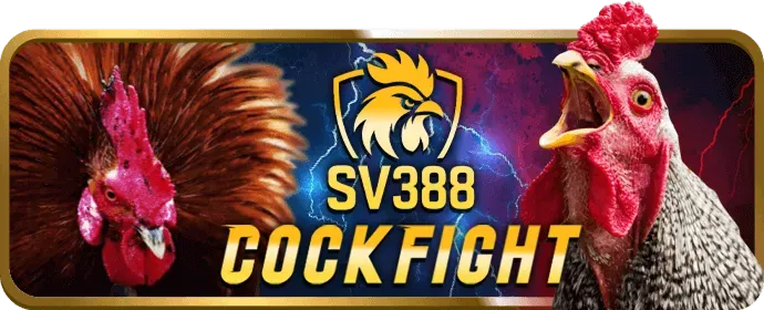 Biểu tượng ưu đãi và khuyến mãi 99VINA CODE
